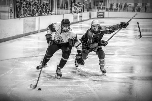 Broken stick attack                       Top Pictorial 26.5 TC DP Greg Alderson Pictorial Master
