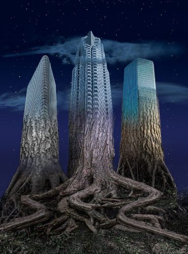 Where the Buildings Grow Tall  Top C 26 TC DP Doug Doede Creative Master