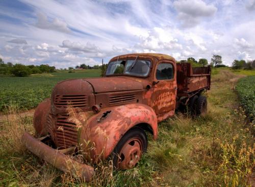 Rusting Away  8 7 7.5 22.5 Dan Copeland  Pictorial Master