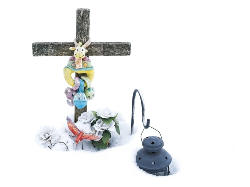 Snow covered still life 21 Bela Acs Pictorial Master