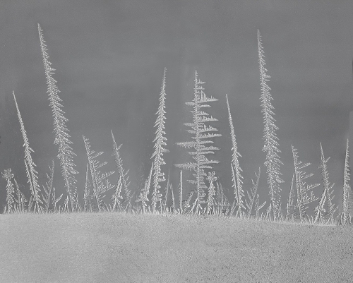 Window Frost 20 Elzbieta Piskorz Pictorial Gold