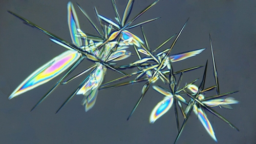 Microscope art  19.5 Dan Copeland Creative Master