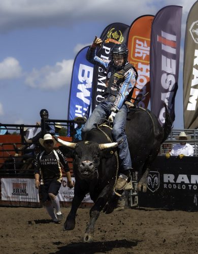 Hang on or Hit Dirt 22 Karen Blunt Pictorial Gold