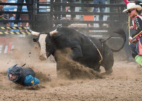 Is It STILL There 23.5 HM Derrick Butler Pictorial