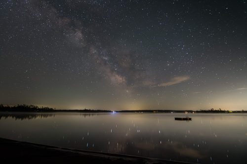 Lonely Swimming Platform 23 HM BPP Ken Newbury Pictorial Bronze