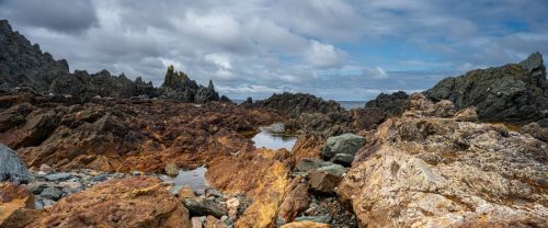 Newfoundland#039;s Rugged Coastline 23.5 GPP Herb McClelland Pictorial Gold
