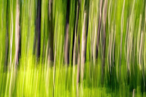 Reeds 20.5 Jim Maguire Creative Master