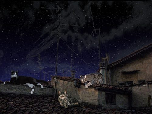 Rooftop Adventures *Top C*  26 HM DP Doug Doede Creative Master