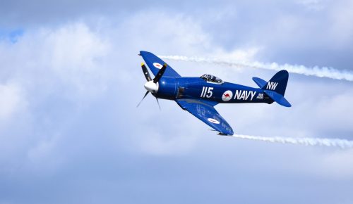 Sky Blue 24.5 HM GPP Loretta Monteleone Pictorial Gold