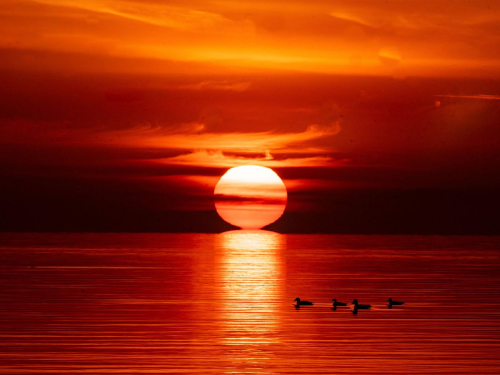 Sunrise on the Lake 21 Lan Gao Nature Silver