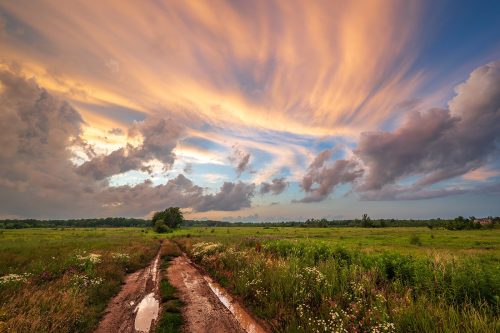 Sunset over wild meadow 23.5 GPP Barbara Bialon Pictorial Gold