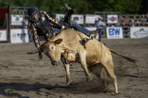 Don#039;t mess with me Top P 26.5 TC DP Greg Alderson Pictorial Master